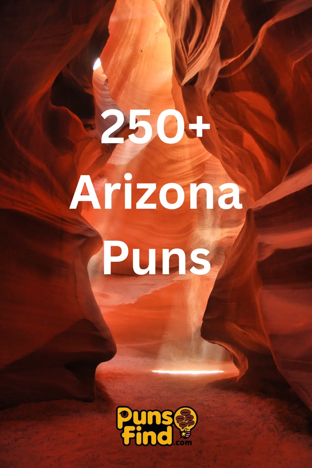 Arizona Puns