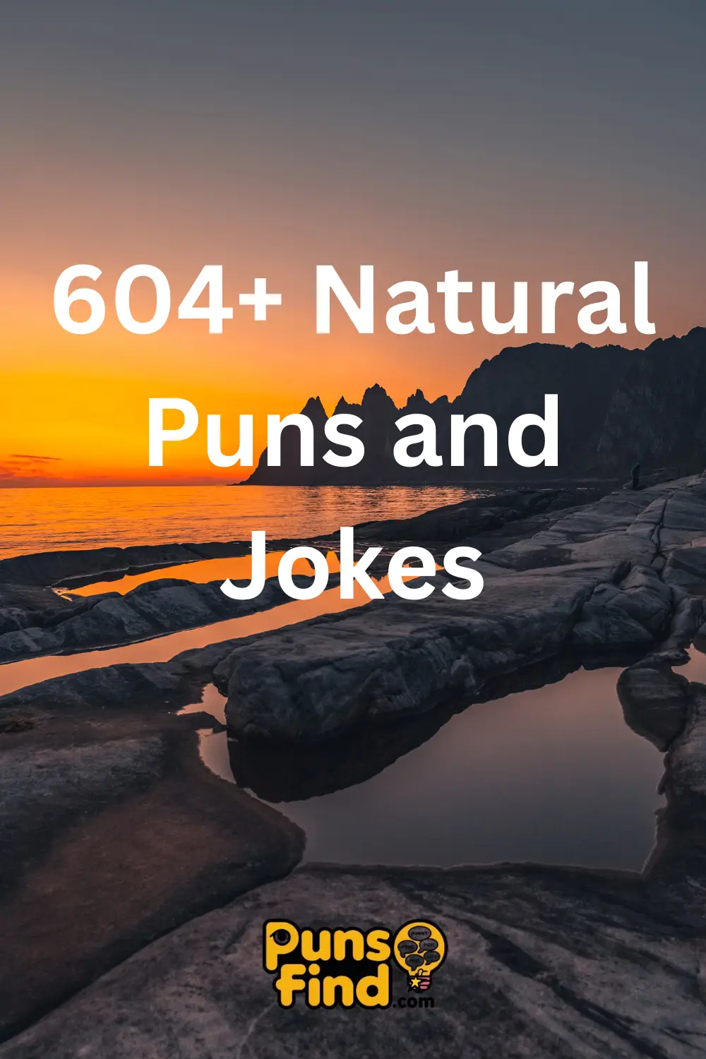 Natural -Puns- and -Jokes