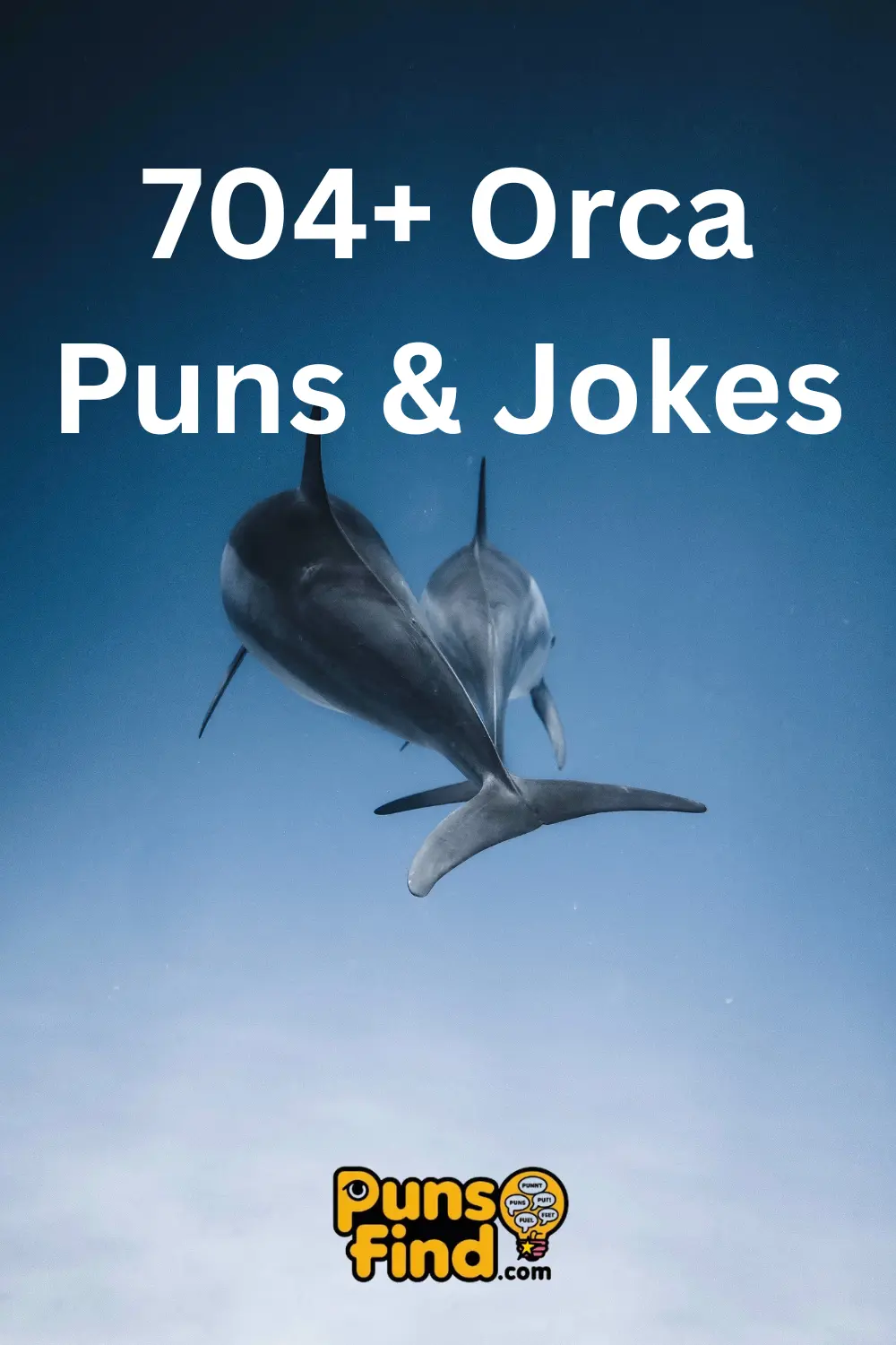 Orca -Puns -& -Jokes