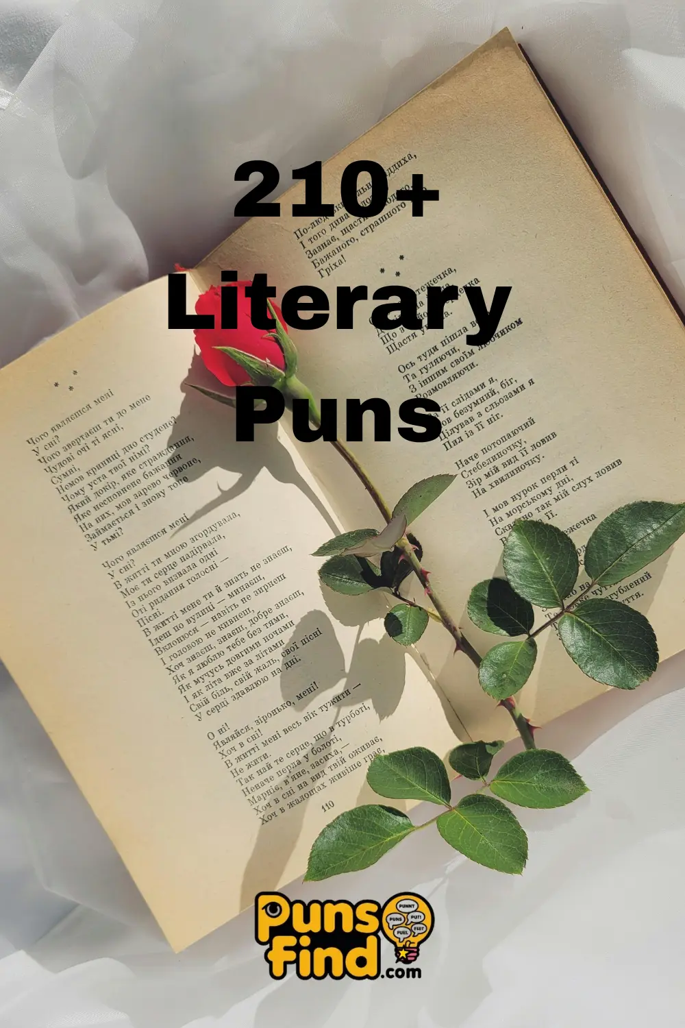 Literary-Puns