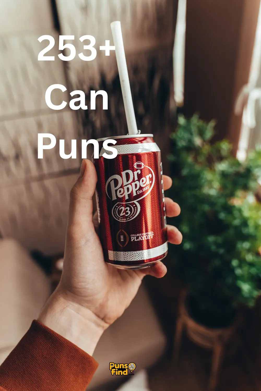 can-puns