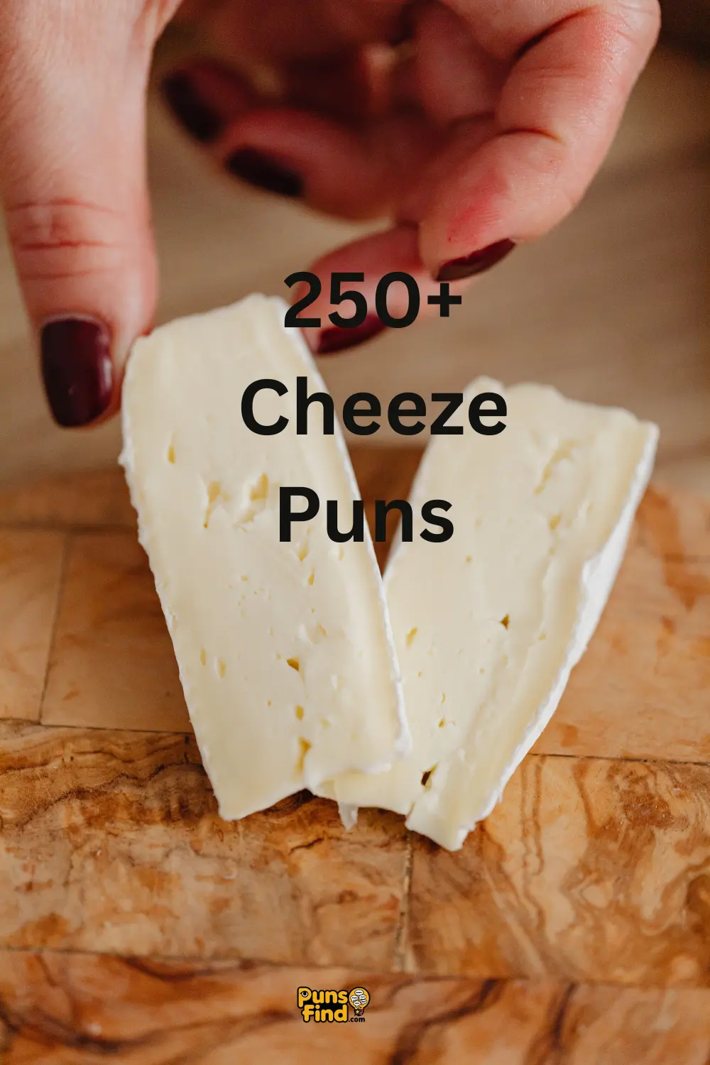 cheeze-puns