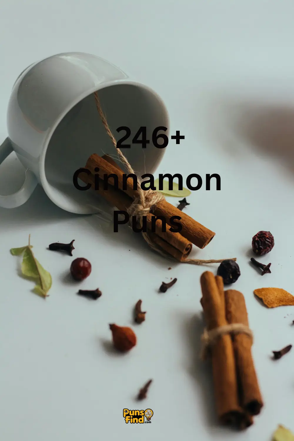 cinnamon-puns