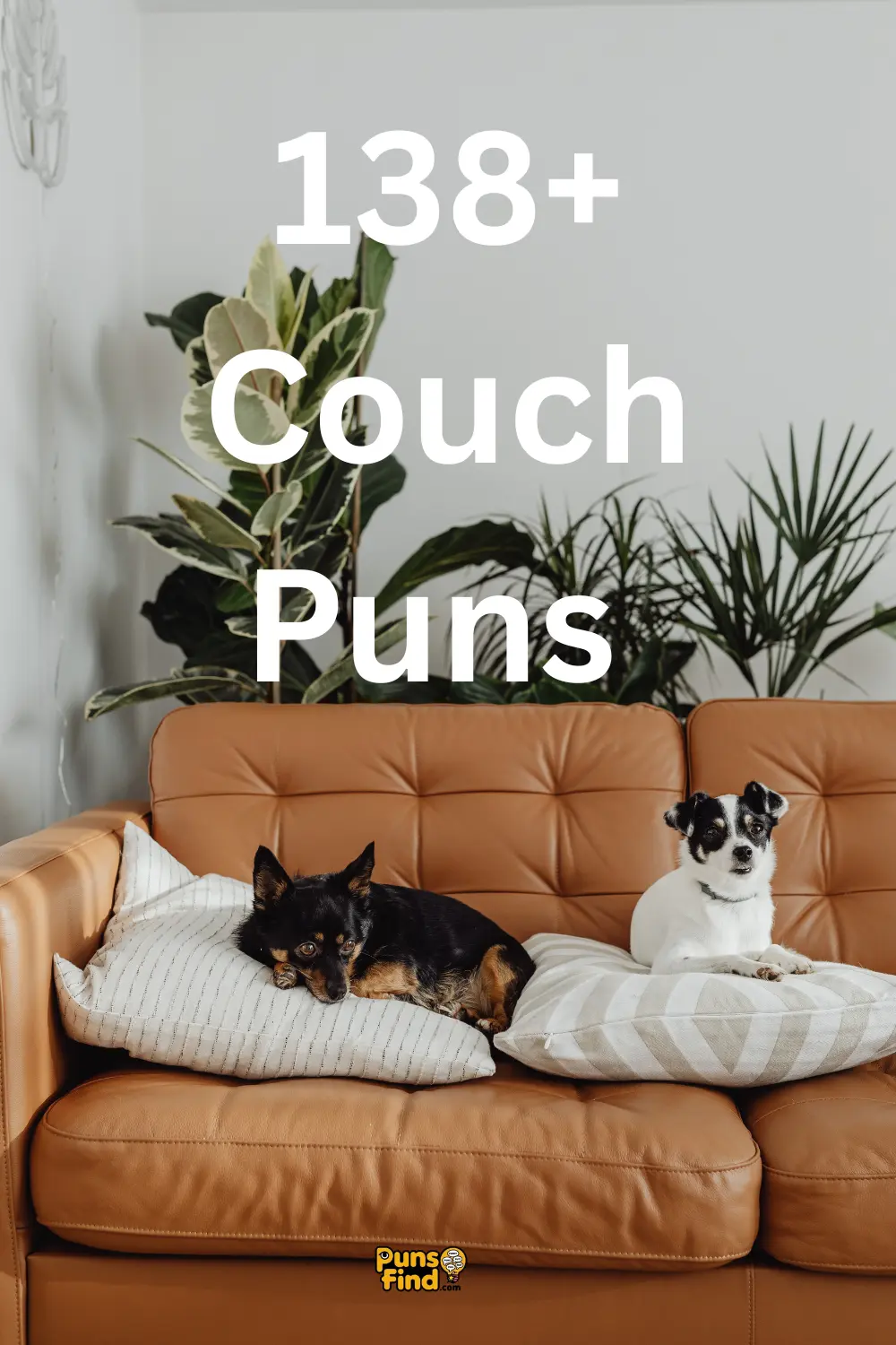 couch-puns