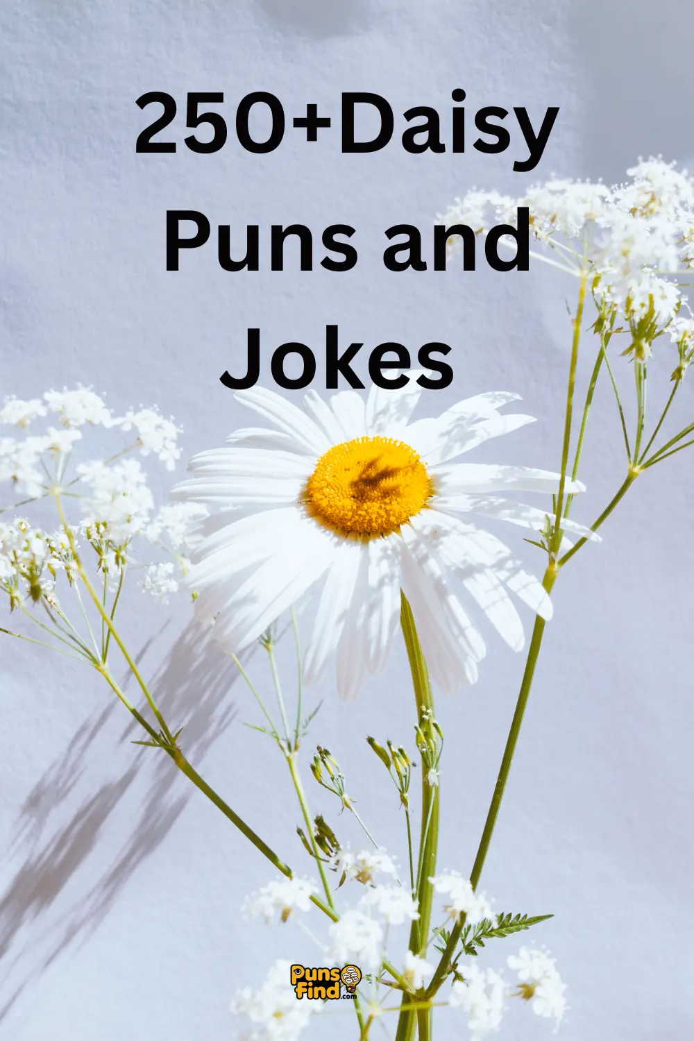 daisy-puns-and-jokes